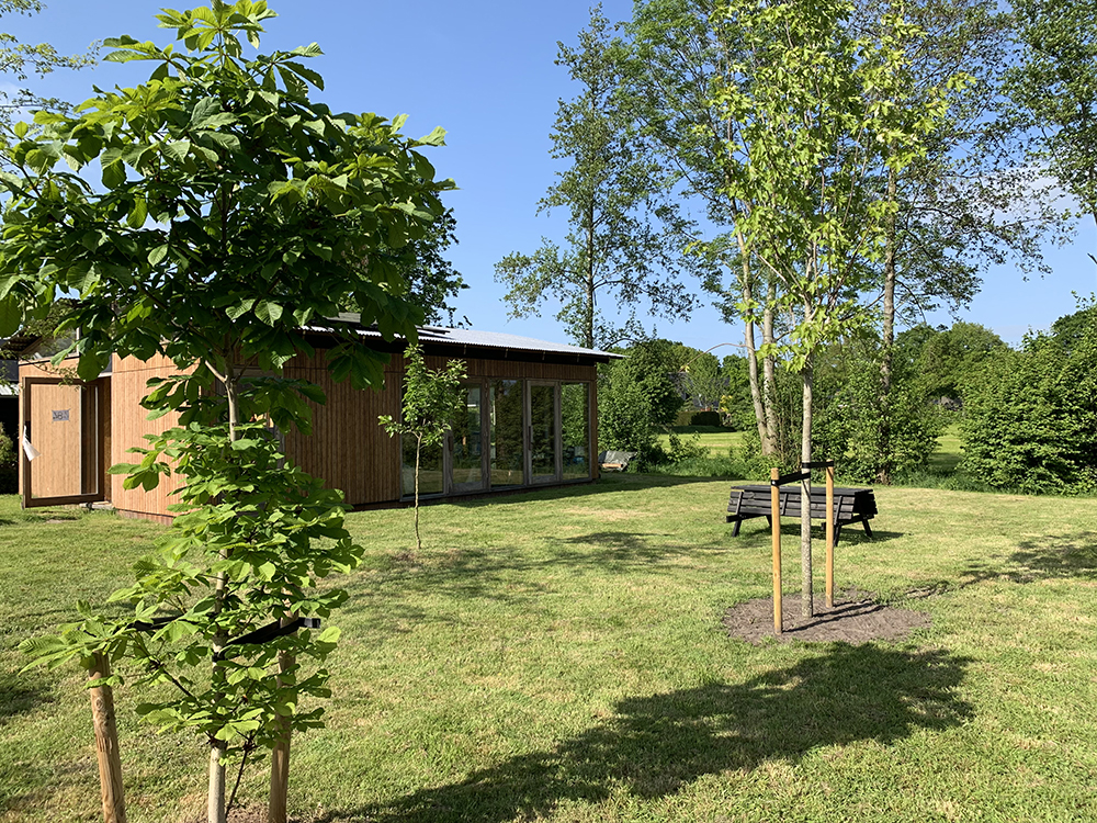 tuin